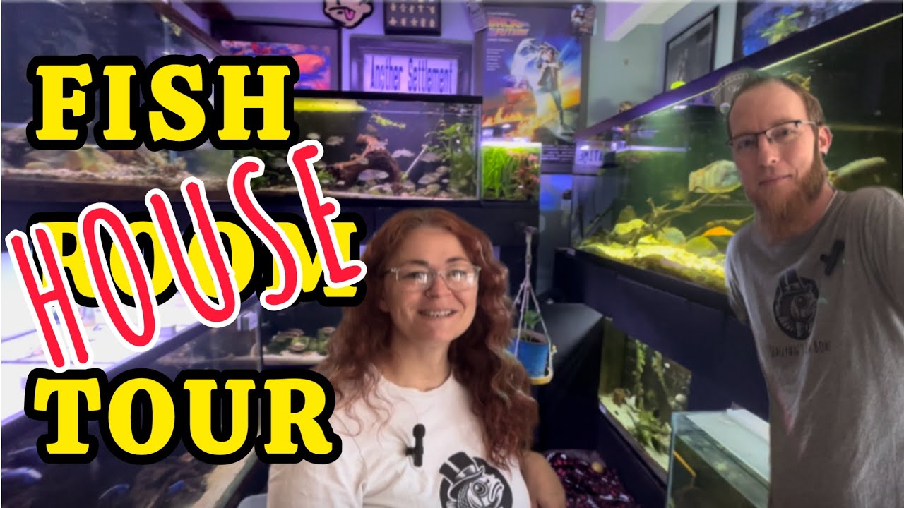 ЭПИЧНАЯ экскурсия по рыбной комнате — аквариум Скаливага #aquariumhobby #aquarium