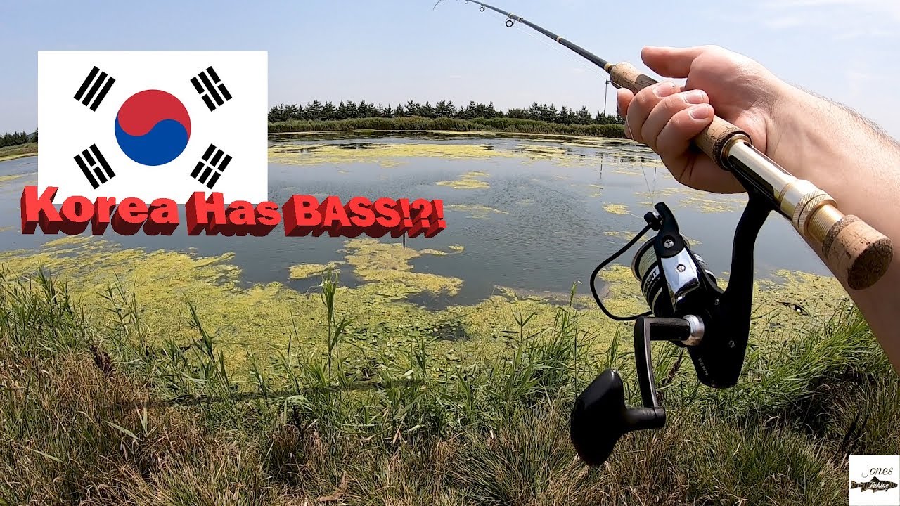 BASS Fishing in KOREA!!!