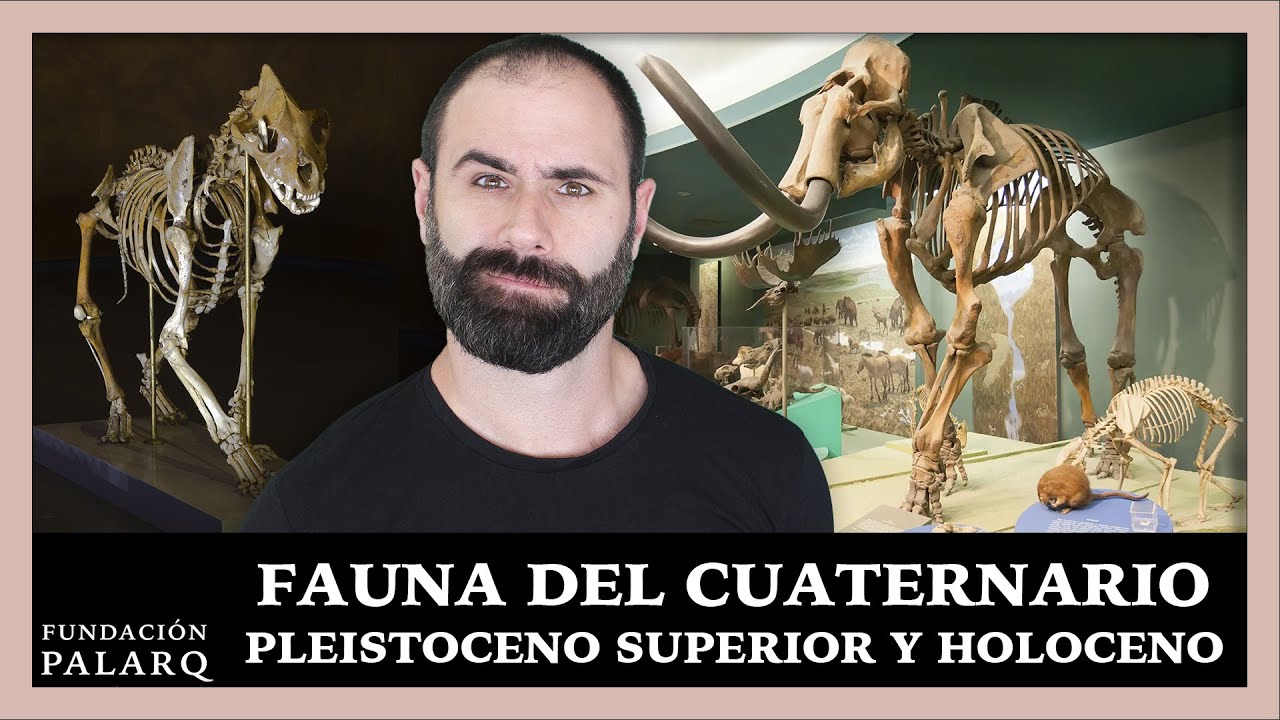 Fauna del Cuaternario: Pleistoceno Superior y Holoceno