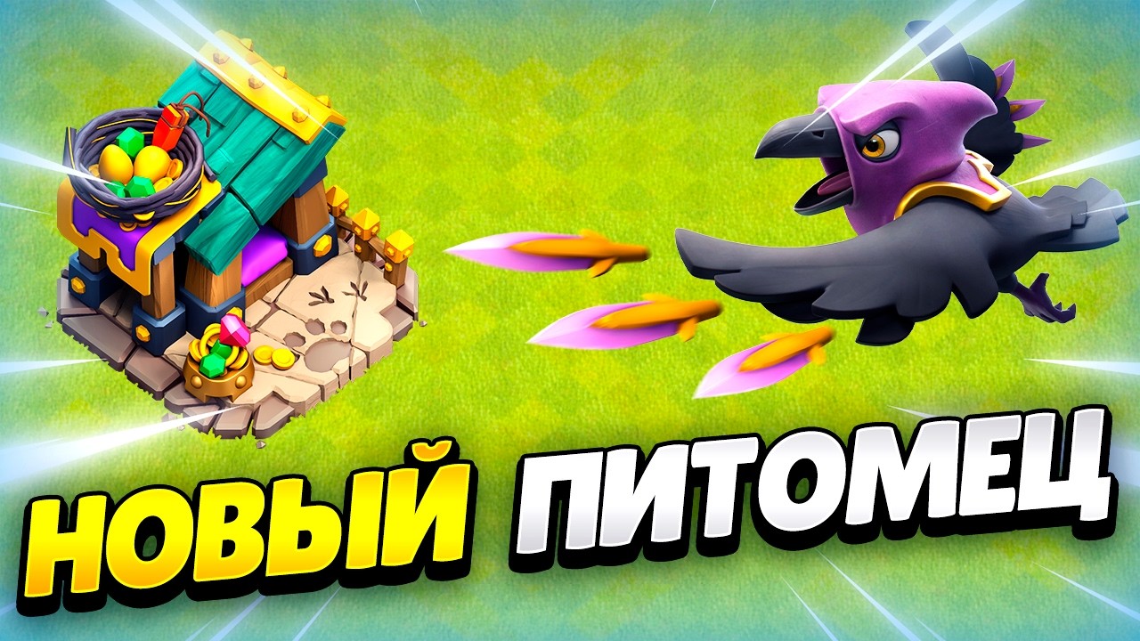 🐦‍ НОВЫЙ ПИТОМЕЦ: ЖАДНЫЙ ВОРОН В КЛЕШ ОФ КЛЕНС | КЛЕО CLASH OF CLANS