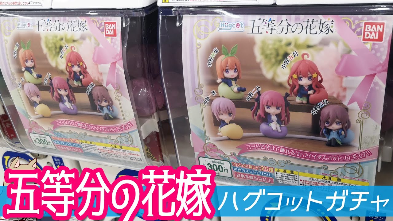 そのままマスコットフィギュアとしても飾れる！ハグコット五等分の花嫁ガチャ五つ子ちゃん揃うまで回してみた