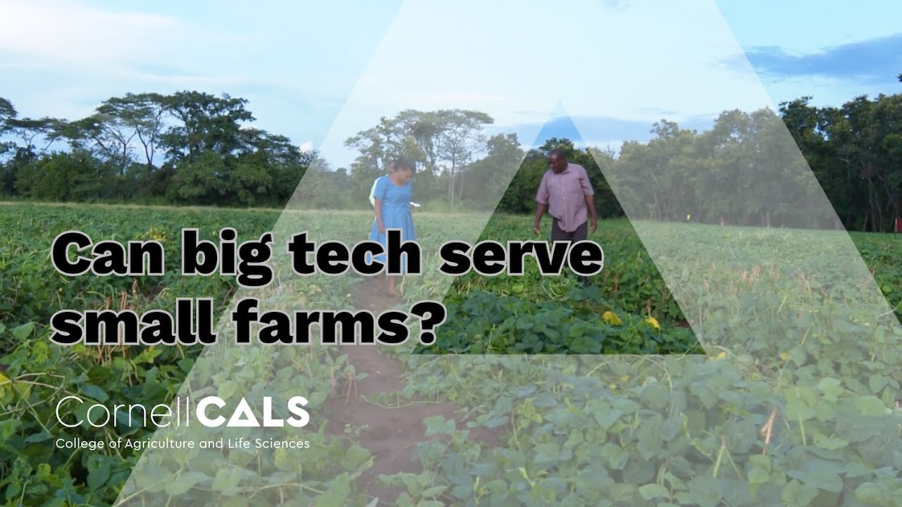 Faculty Research Spotlight: Can big tech serve small farms?