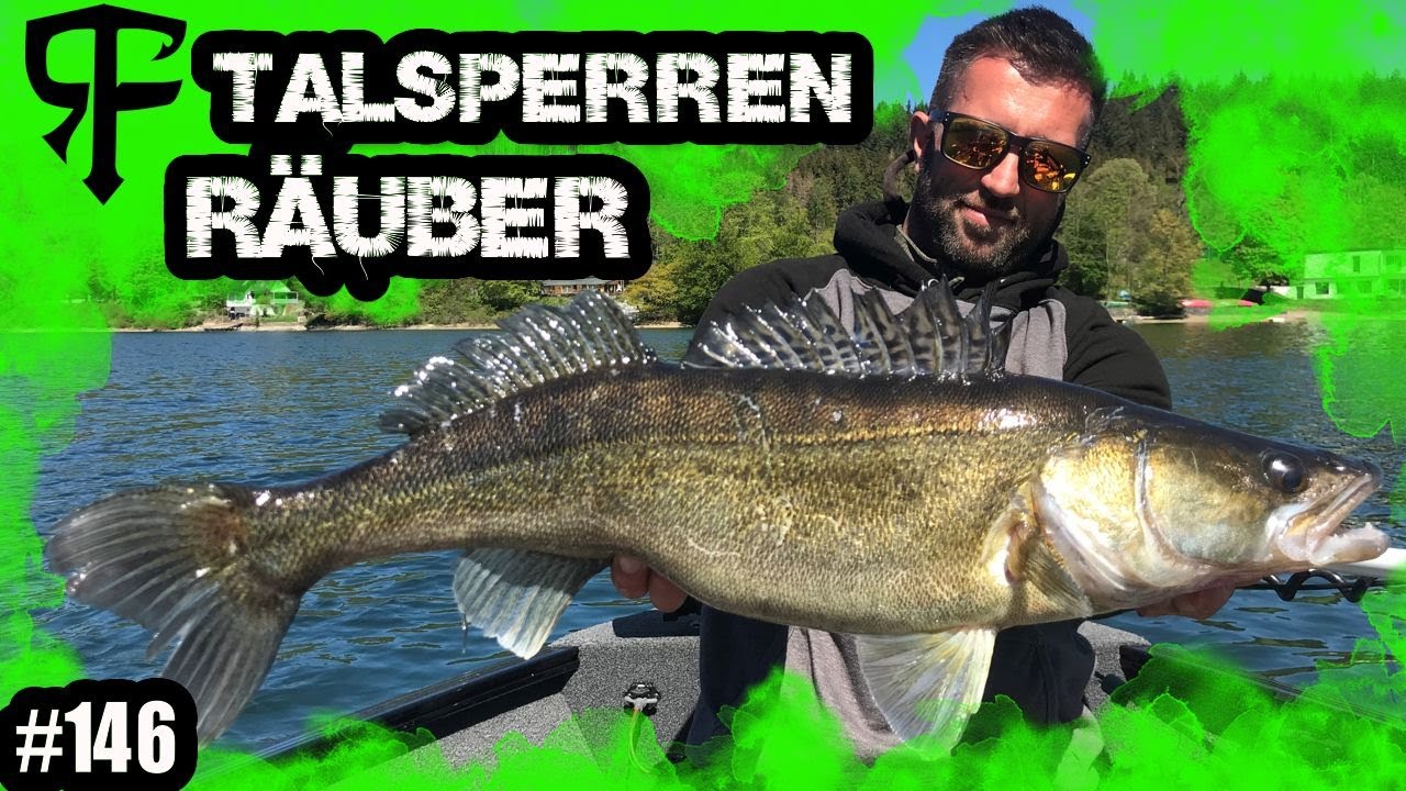 Den Talsperren Räubern auf der Spur - Pelagisch am Diemelsee angeln