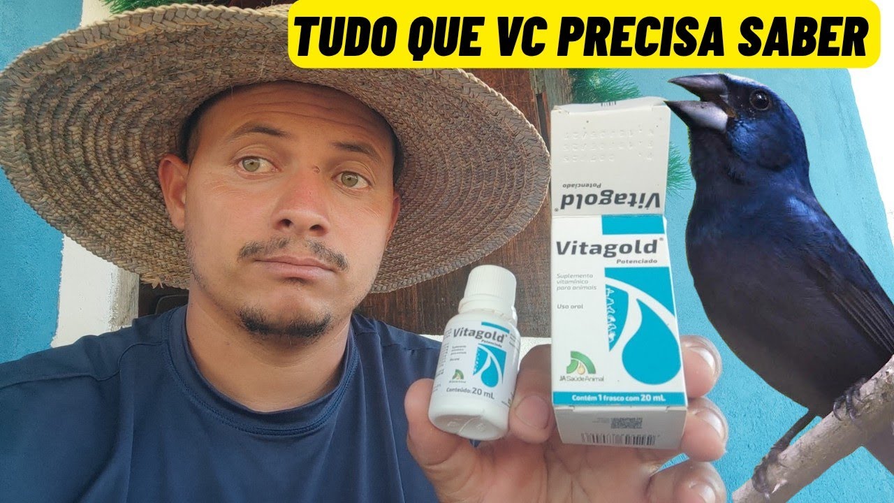 Como introduzir o VITA GOLD POTENCIADO no trato do seu azul&atilde;o, tudo que voc&ecirc; precisa saber