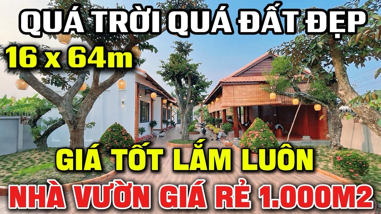 Tập 269 ( Đã Bán ) | NHÀ VƯỜN 1.000m2 LONG AN Giá Rẻ Trời | Hiếm Lâm Mới Có | Nhanh Mới Kịp !!