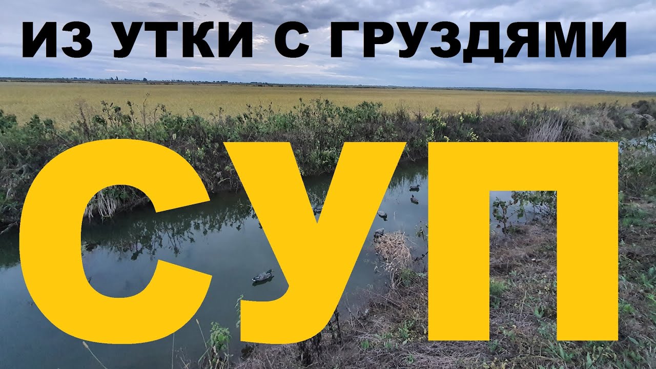 СУП ИЗ ДИКОЙ УТКИ С ГРУЗДЯМИ, ЛУКОМ, КАРТОФЕЛЕМ И ЛАПШОЙ РЕЦЕПТЫ СЮФ