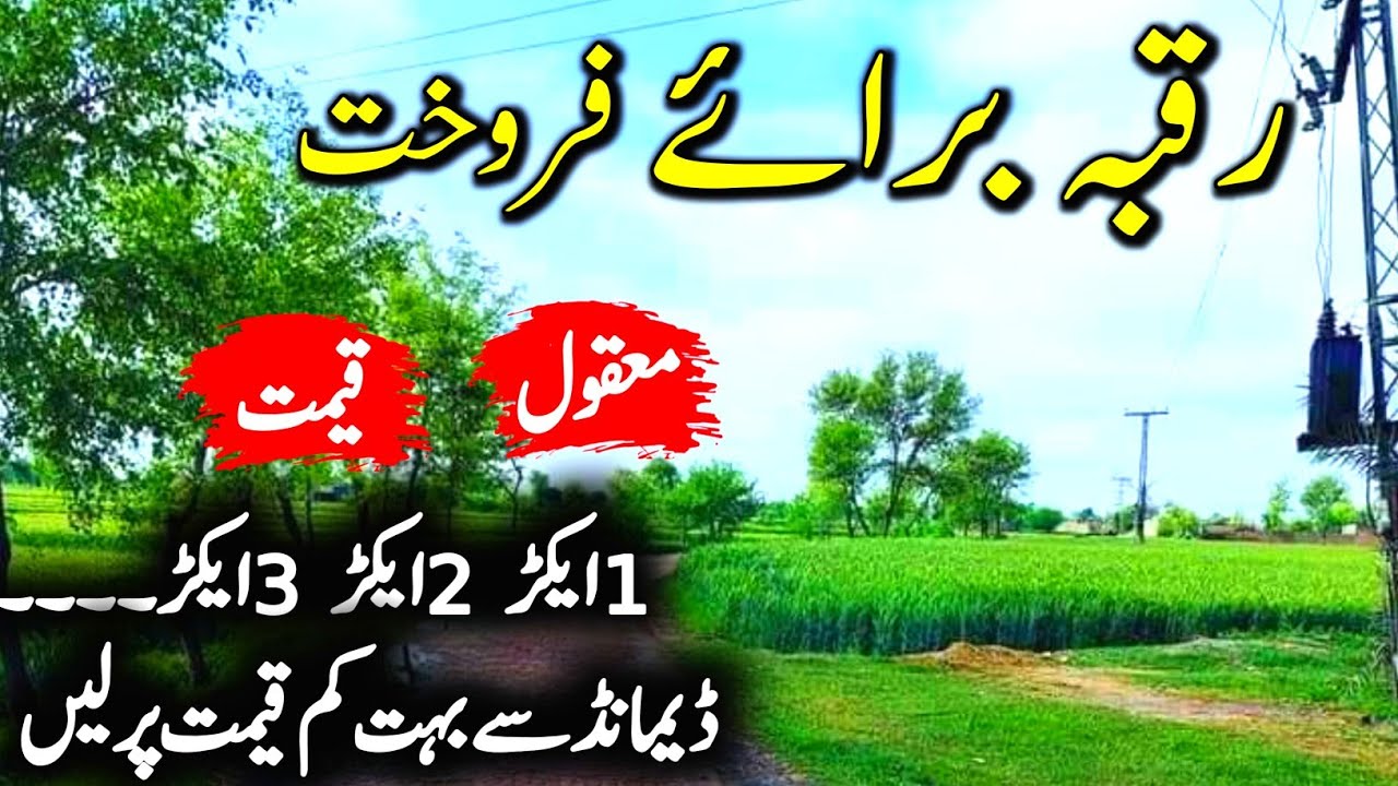 Agriculture Land for sale in Punjab Pakistan | Zameen for sale | Jhorar point | Episode 74