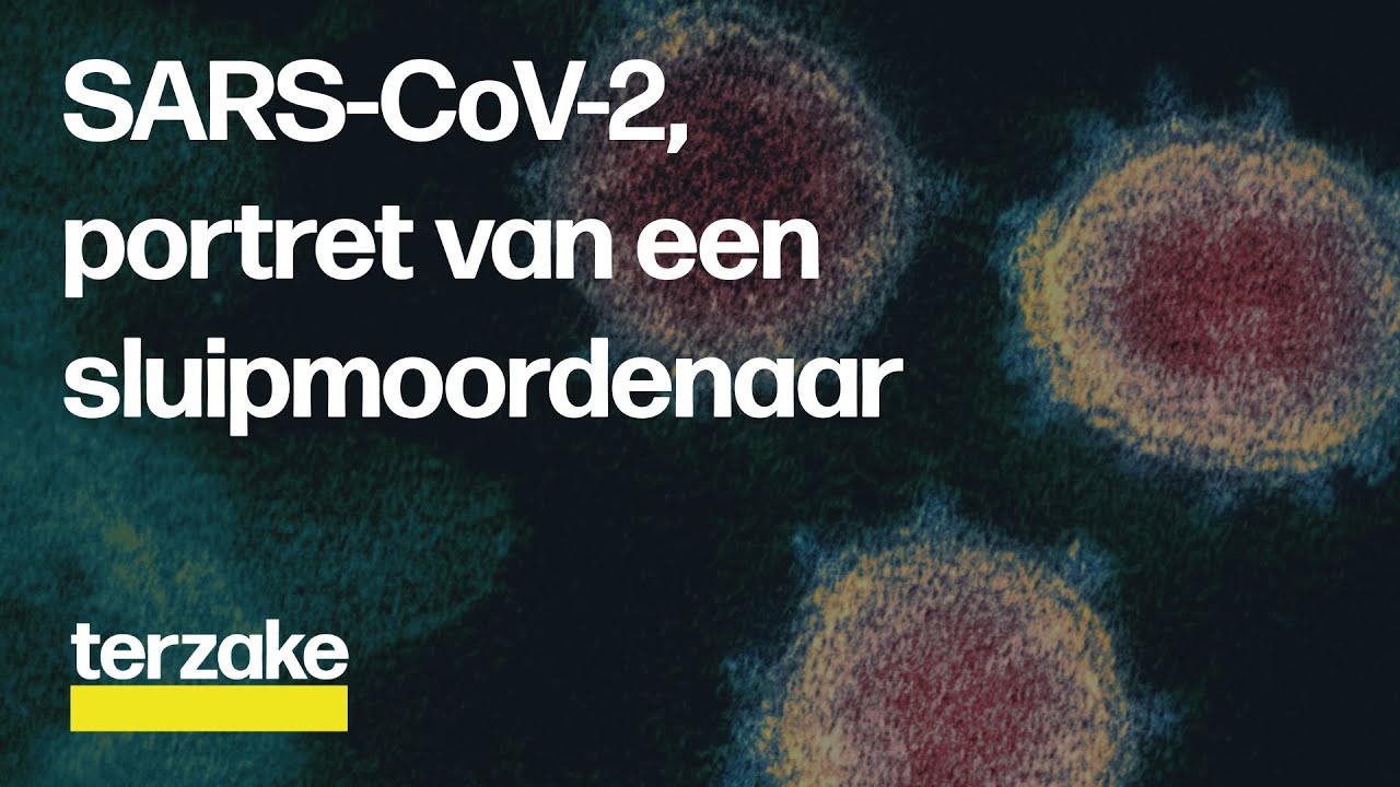 Wat weten we over het coronavirus? | Terzake