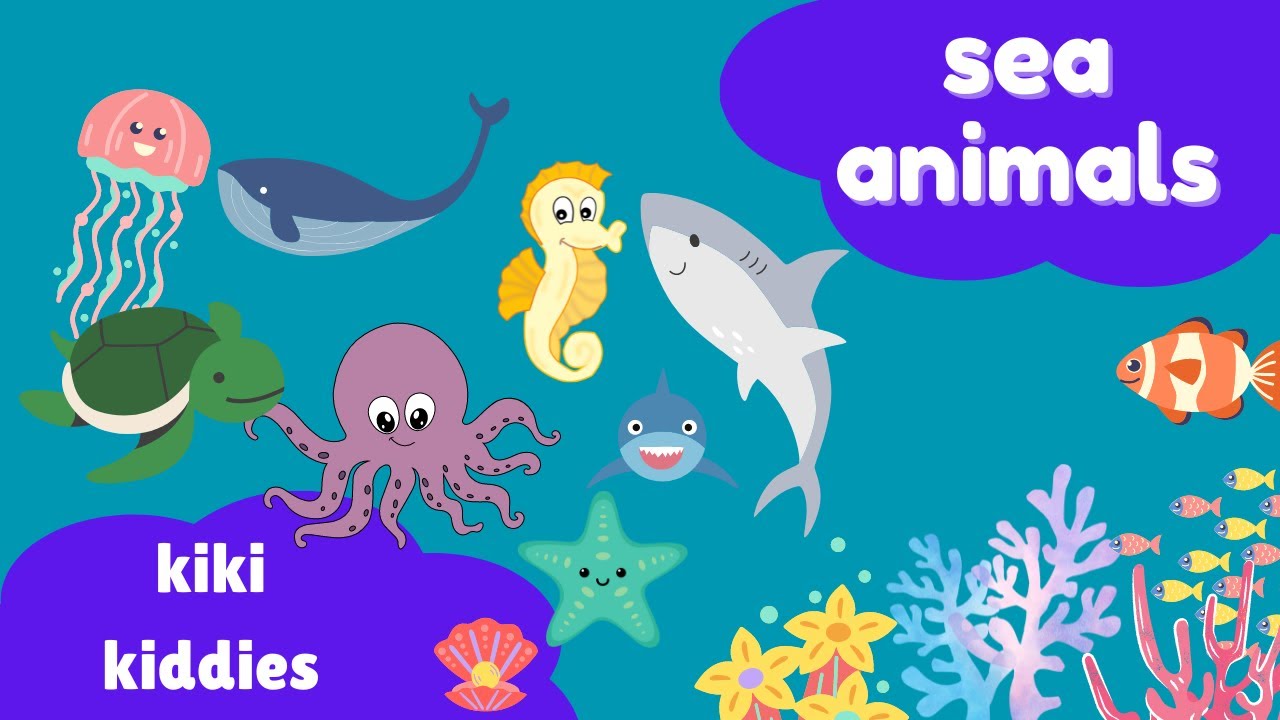 sea animals | 30 sea animals | baby shark | aquarium
