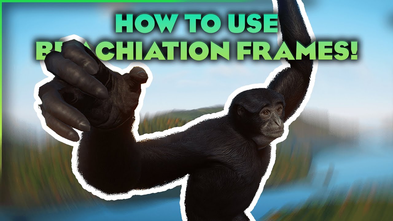 How To Use Brachiation Frames! | Planet Zoo Conservation DLC