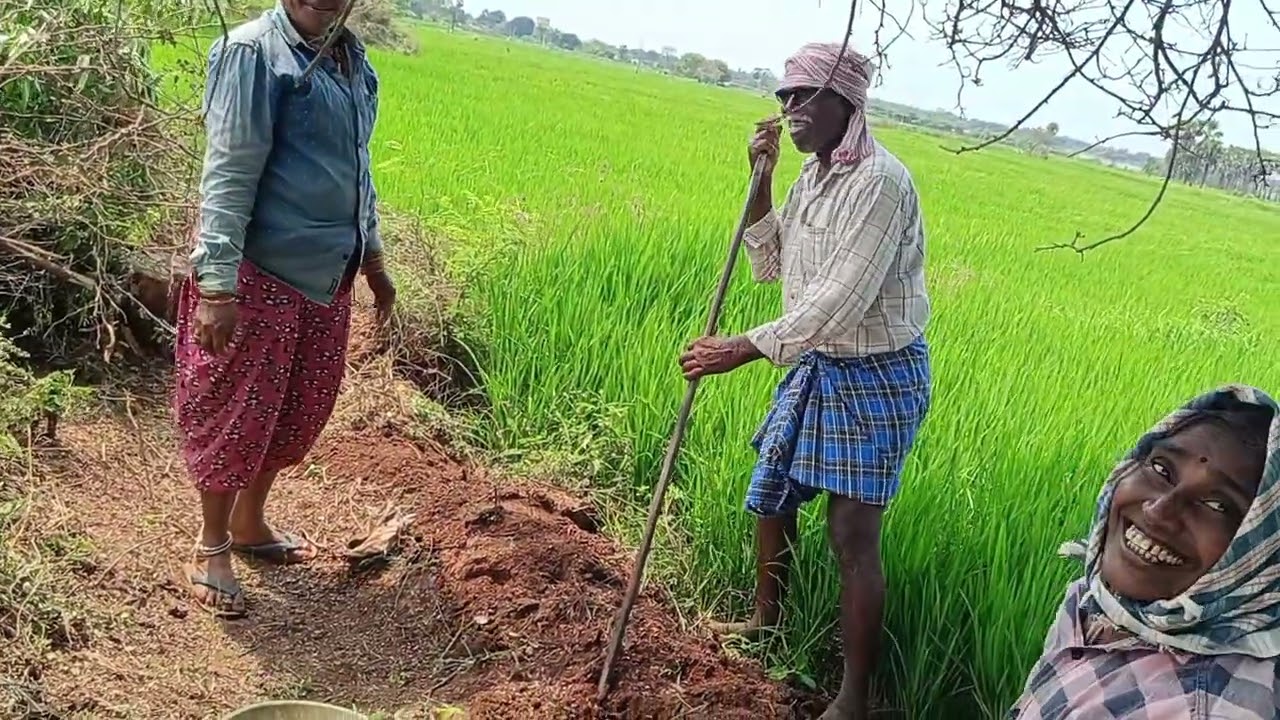 Peddamupparam ఎర్రటి ఎండలో పనిచేస్తే ₹60 రూపాయలు యేనా నరేంద్ర మోడీ.. ఉపాధి కూలి 