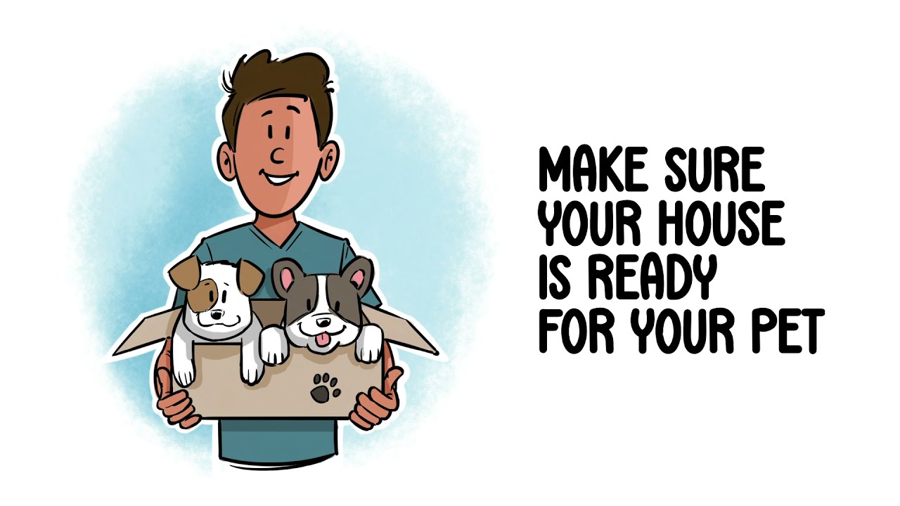 Pet Proofing | Encompass Insurance