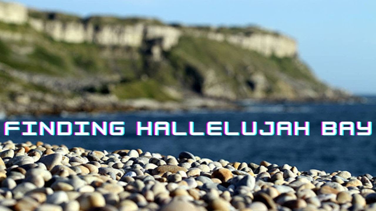 Hallelujah Bay - Portland, Dorset #hiddendorset #dogwalking #dog