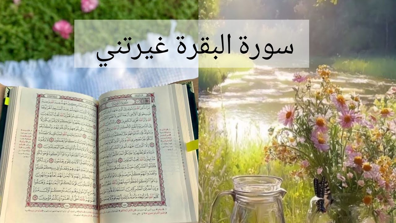كيف تغيرت مع🩷 سورة البقرة في جلسة صفاء معكن🩷🩷