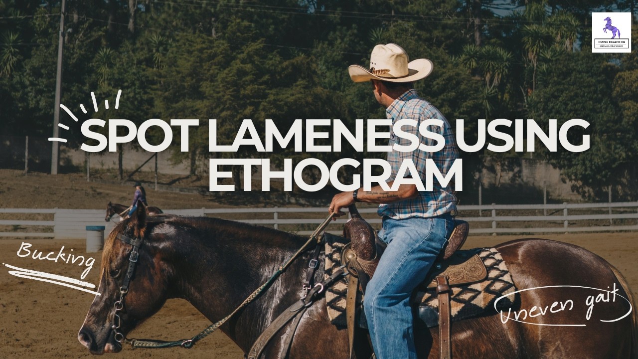 Spot Lameness Using Ethogram