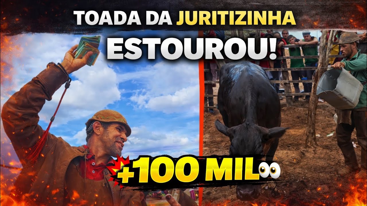 TOADA DA VACA JURITIZINHA ABELHA &bull; CUECA E CAITINHA 💥✅