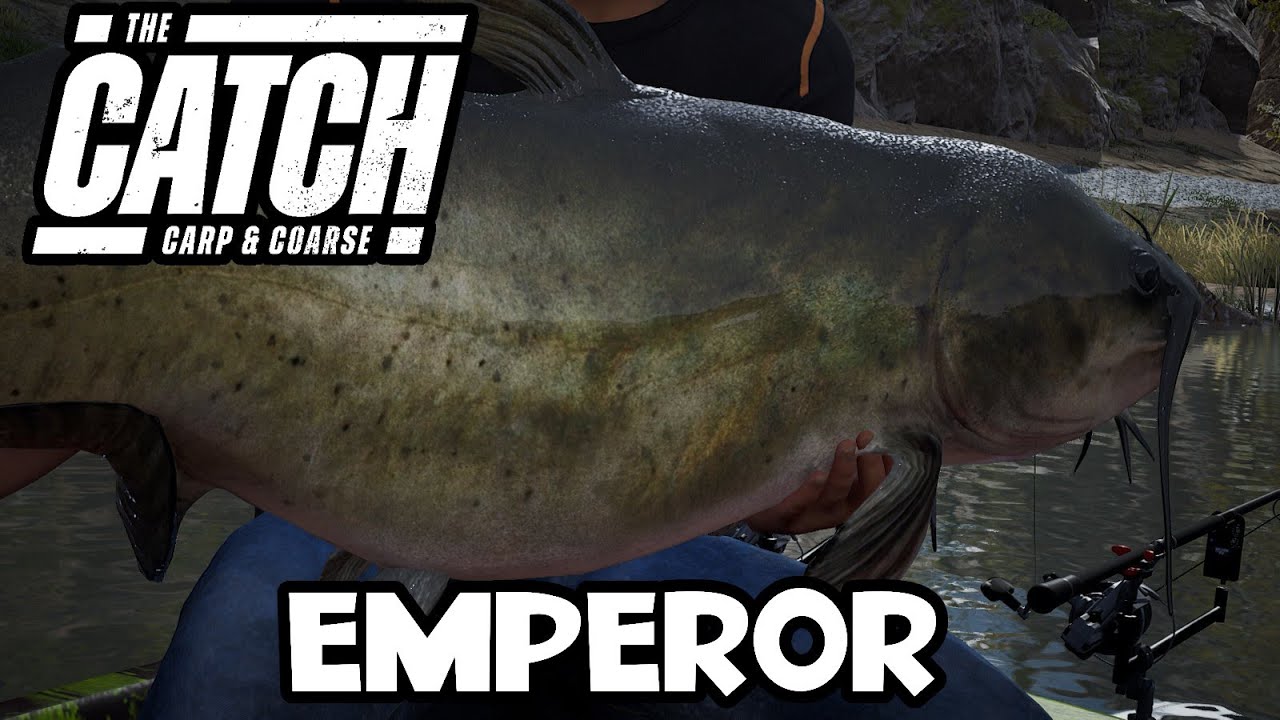The Catch: Carp & Coarse - Emperor - 50lb 0oz - Boss Fish - River Ebro