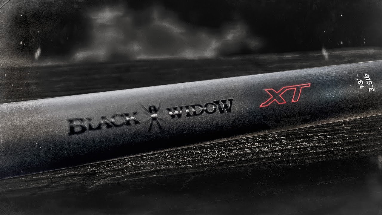 За ці гроші — ракета!?Мій перший карповик повернувся! Daiwa Black Widow XT