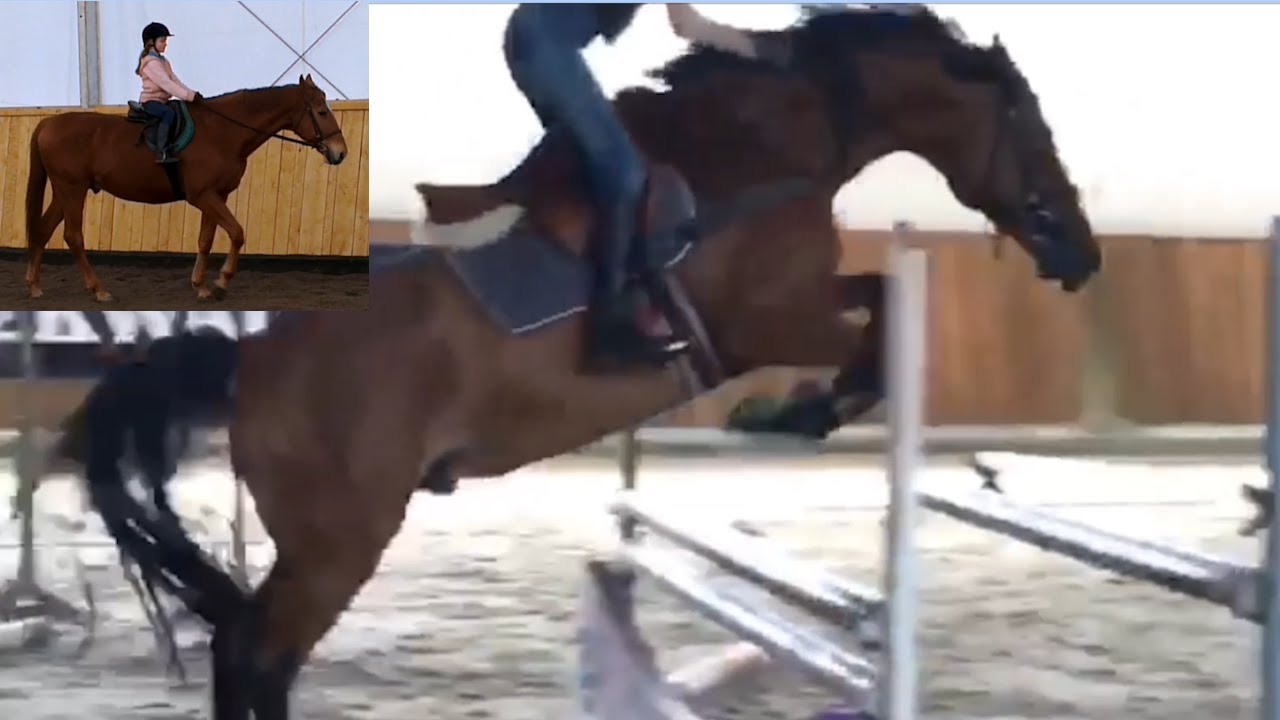 MY RIDING STORY (2010-2019)