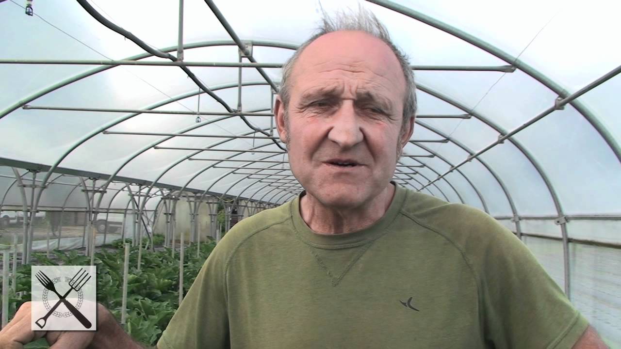 Rencontre avec François Dreumont, maraîcher bio à Grémévilliers (Oise)