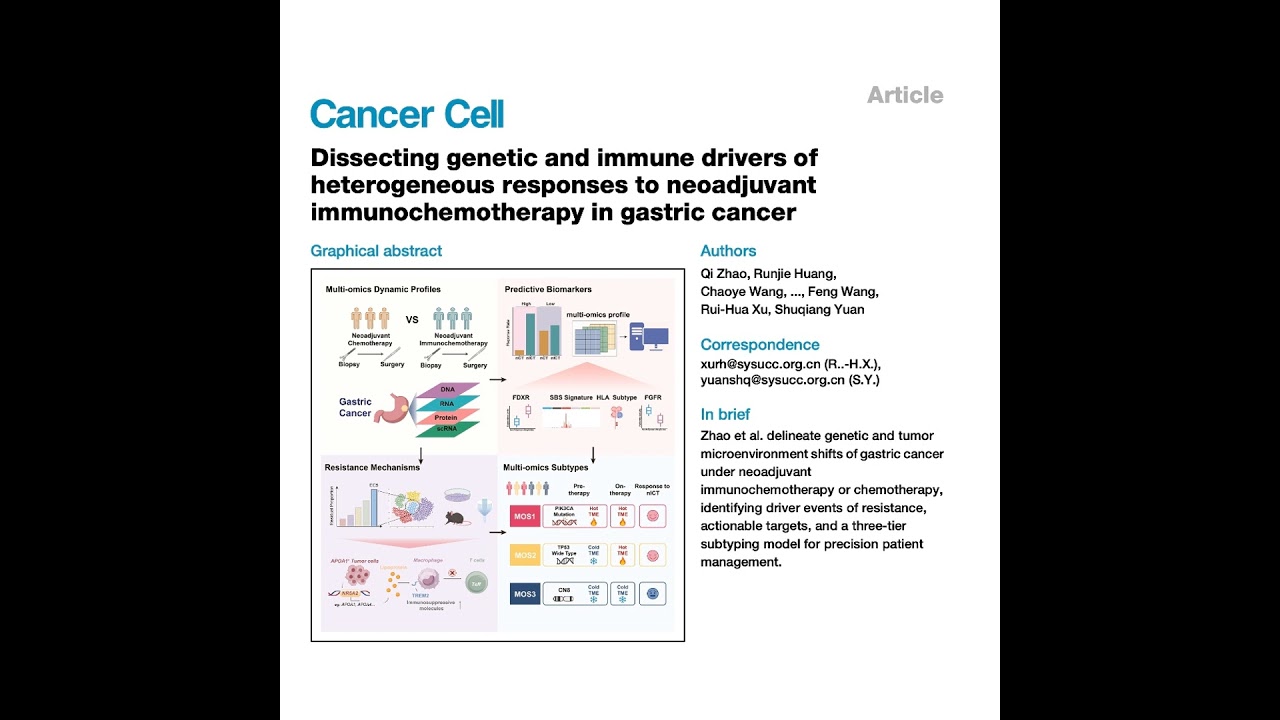 585-Drivers of Gastric Cancer Response to Immunochemotherapy