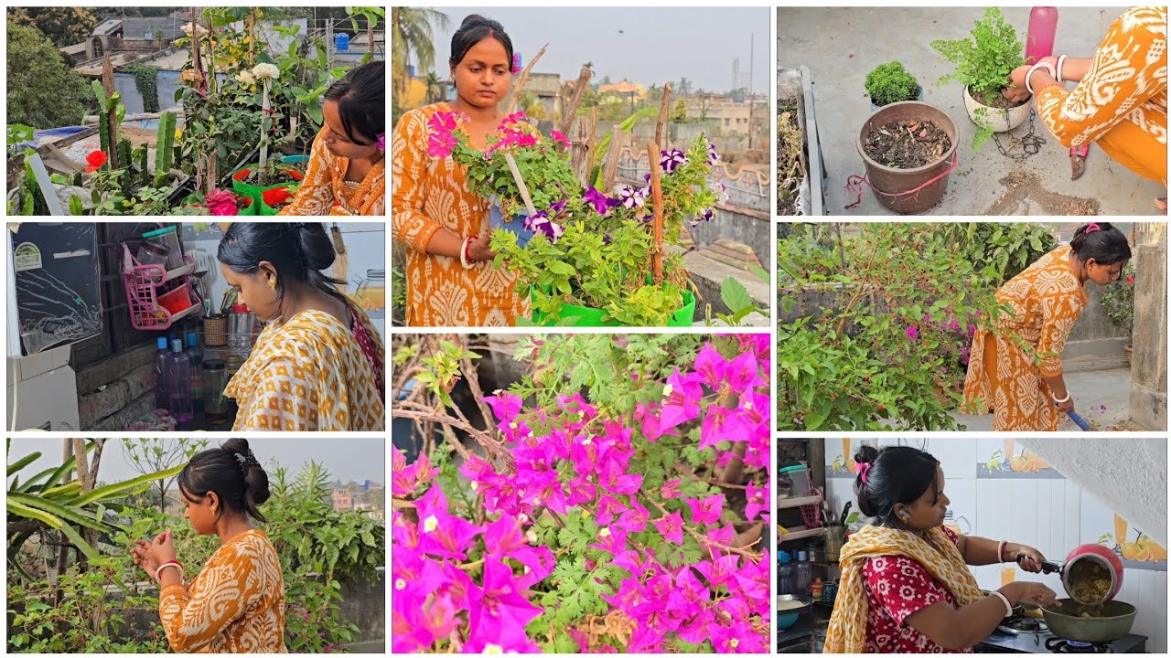 কাকে সারপ্রাইজ দিলাম🥰?সকাল থেকে সন্ধ্যা ঘরবাড়ি গোছাতে,ছাদ-বাগান নিয়েই কেটে গেল..