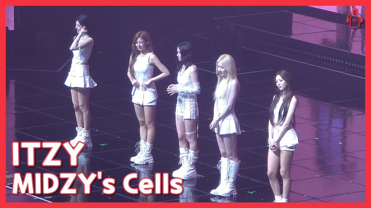 ITZY | MIDZY's Cells Highlights (2024-11-02)