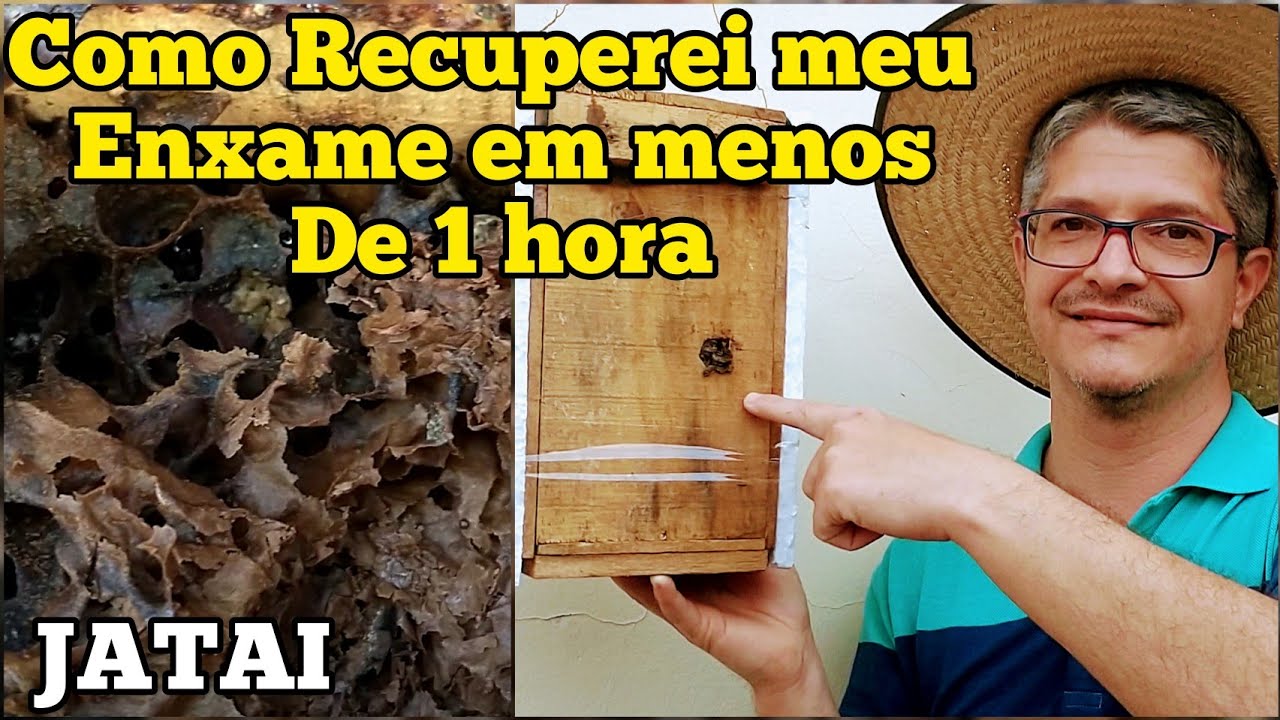 CUIDADO!!! PARA VOCÊ NÃO PERDER SUA ABELHA JATAI.....
