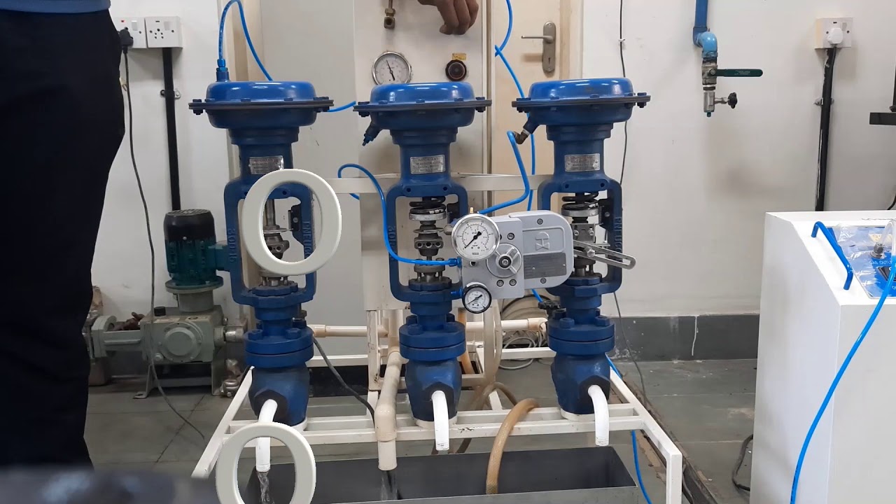 Control Valve Characteristics | Demo | BITS GOA