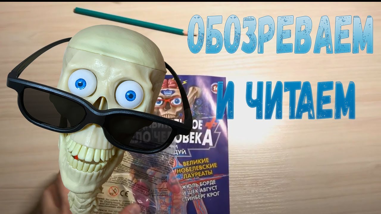 Удивительное тело человека №14 (Обозреваем и читаем)