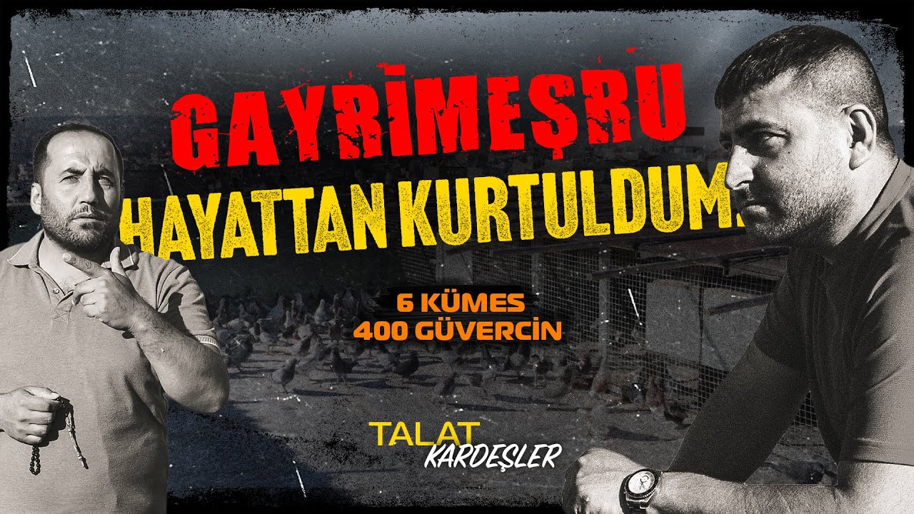 Gayrimeşru Hayattan Kurtuldum! 6 Kümes, 400 Güvercin - Talat Kardeşler