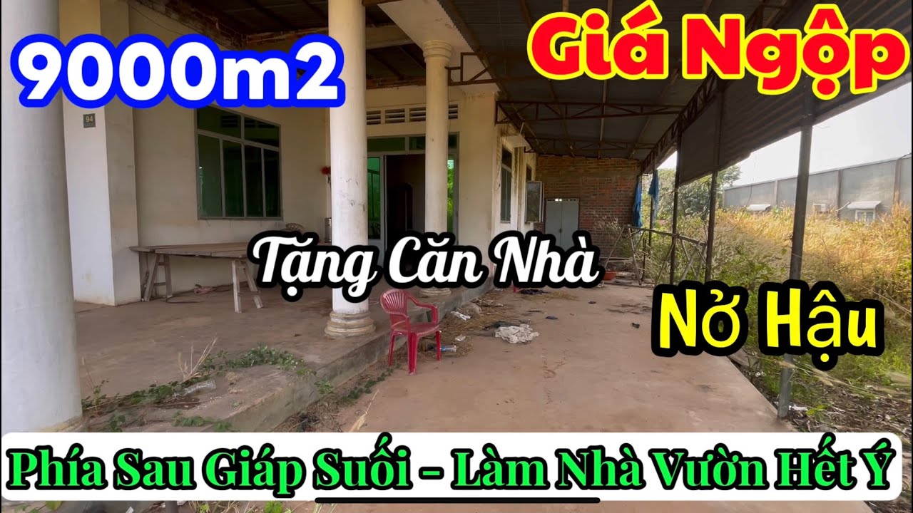 Chủ Kẹt Tiền Bán Gấp Hơn 9.000m² Đất Tặng Nhà Cấp 4 – Sau Nhà Giáp Suối, Không Gian Mát Mẻ Quanh Năm