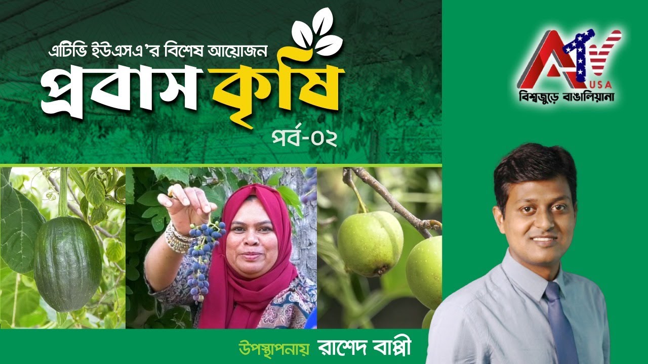 নিউ ইয়র্কে বাড়ির উঠানে দেশি শাক সবজি চাষ! | প্রবাস কৃষি | পর্ব- ০২ | ATV USA HD | Agriculture