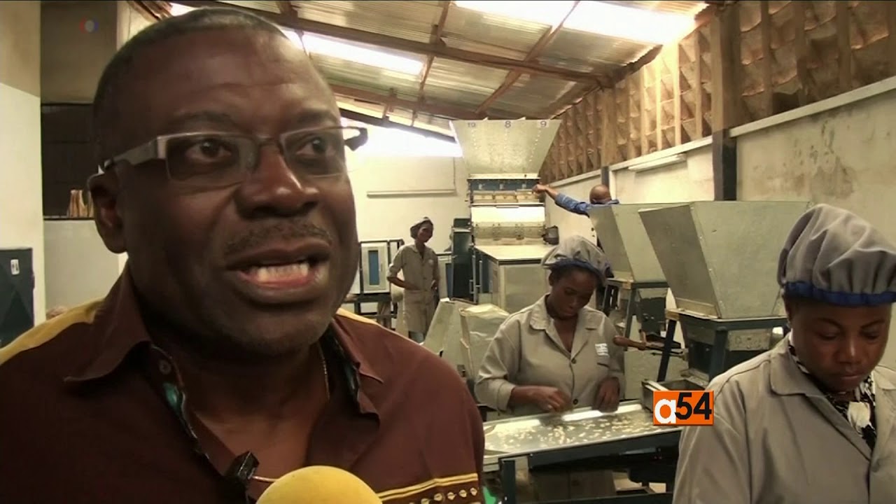 Cameroon Pumpkin Seeds Machine