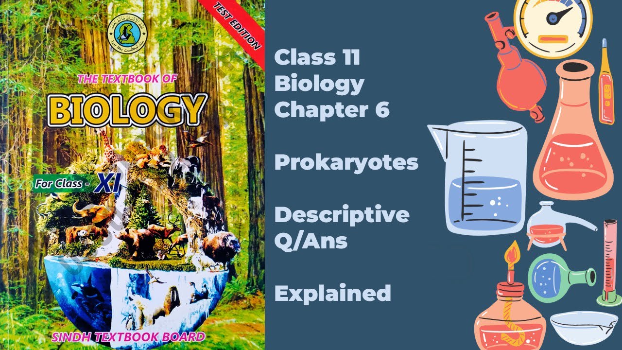 Class 11 Biology New Book | Chapter 6 Descriptive Question Answers Explained
