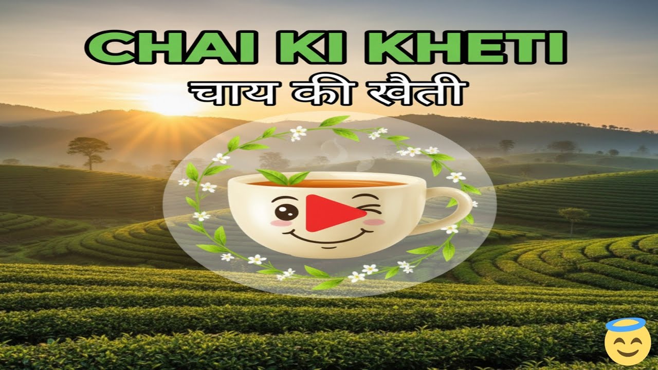 चाय की खेती कैसी होती हैं? | खेत से कप तक का पूरा ड्रामा! Tea Farming in India| India&rsquo;s Tea Gardens|