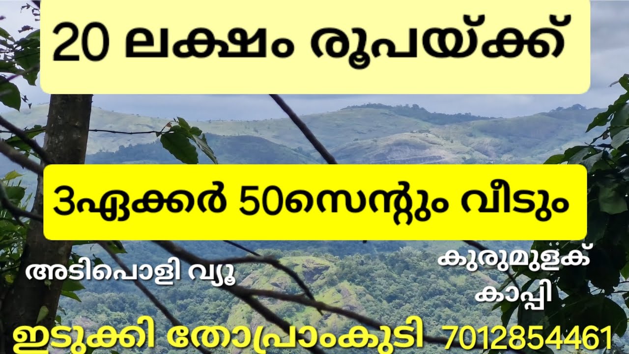 വെറും 20ലക്ഷം രൂപയ്ക്ക് 3ഏക്കർ 50സെന്റും ഷീറ്റ് വീടും. ഇടുക്കി തോപ്രാംകുടി 👇check 👇