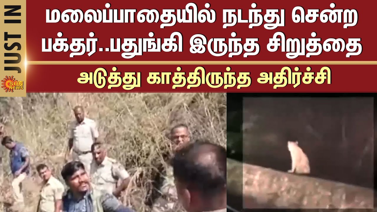 Shocking | Devotee | Walk | Mountain Path | Leopard | Karnataka | What Happened? |Additional Details