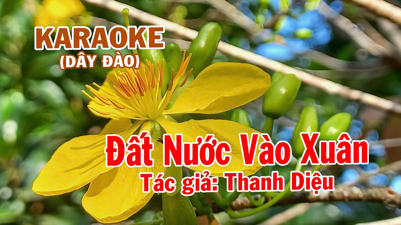 Bài ca cổ ĐẤT NƯỚC VÀO XUÂN - KARAOKE DÂY ĐÀO Tác giả: Thanh Diệu