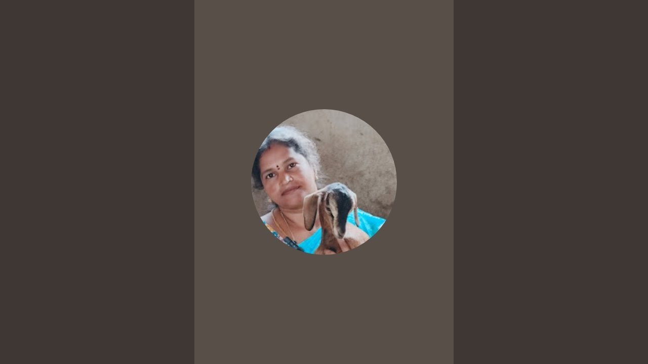 அரச இலை நன்மைகள் பாக்கலாம் வாங்க