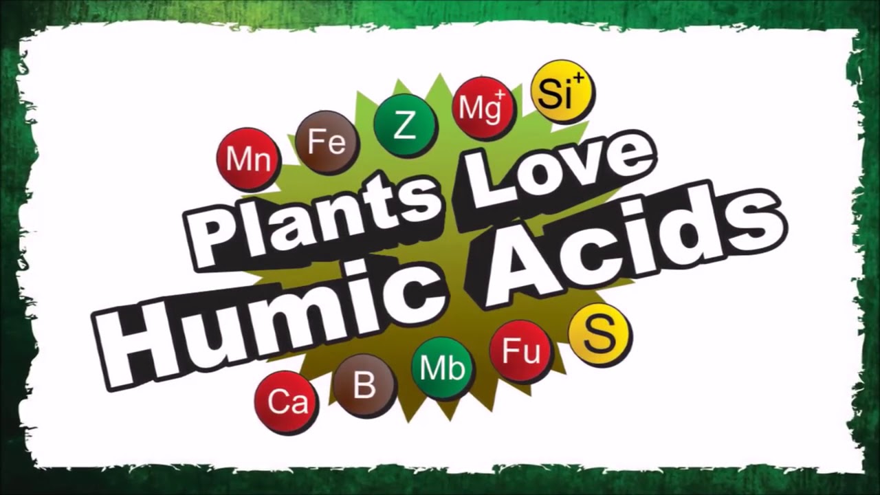 MIXING CANNABIS NUTRIENTS E#5 - WHEN AND HOW TO USE ADDITIVES AND SUPPLEMENTS - GROW BOSS
