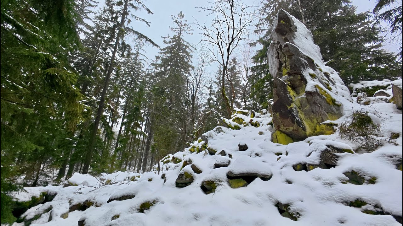 Hradiště na Zavírce / Brdy