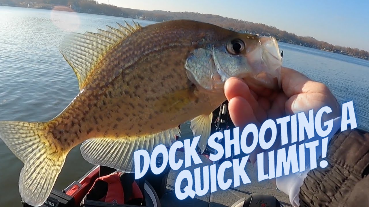 Dock Shooting A Quick Limit!