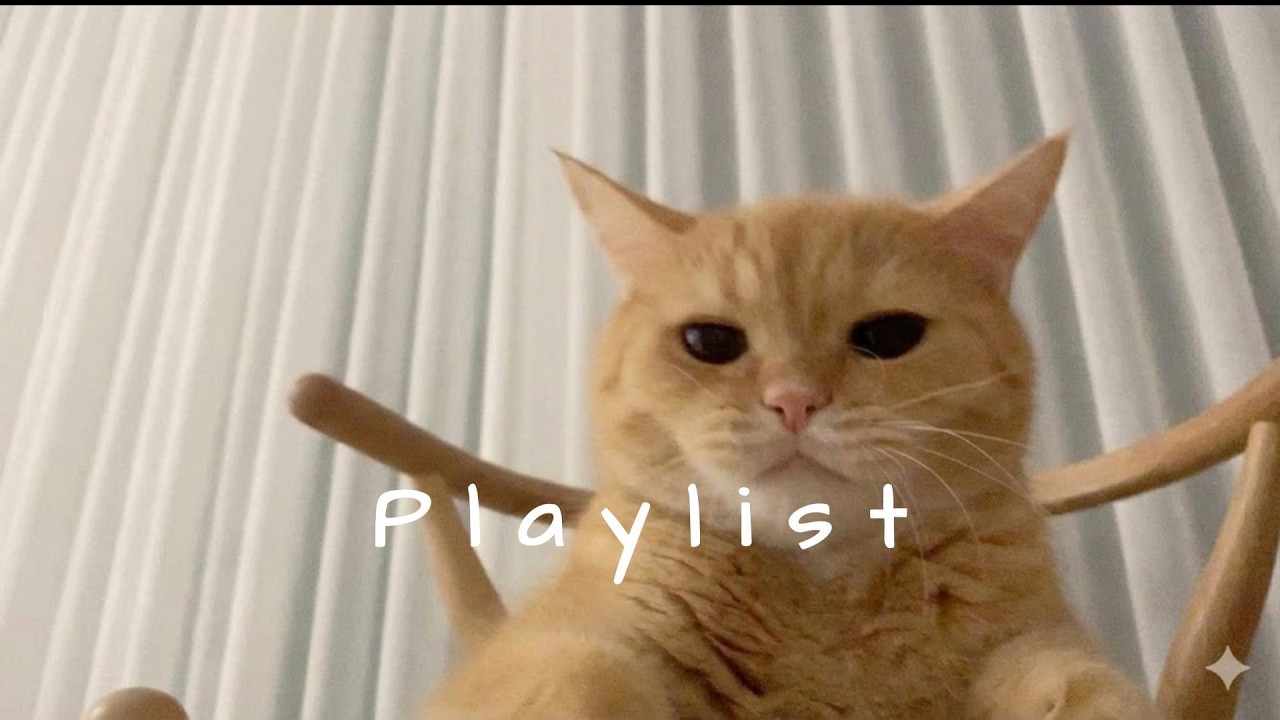 요즘 릴스에서 가장 힙한 ‘느좋’ 분위기 한 스푼 🤍🎧 | chill r&b · study & relax