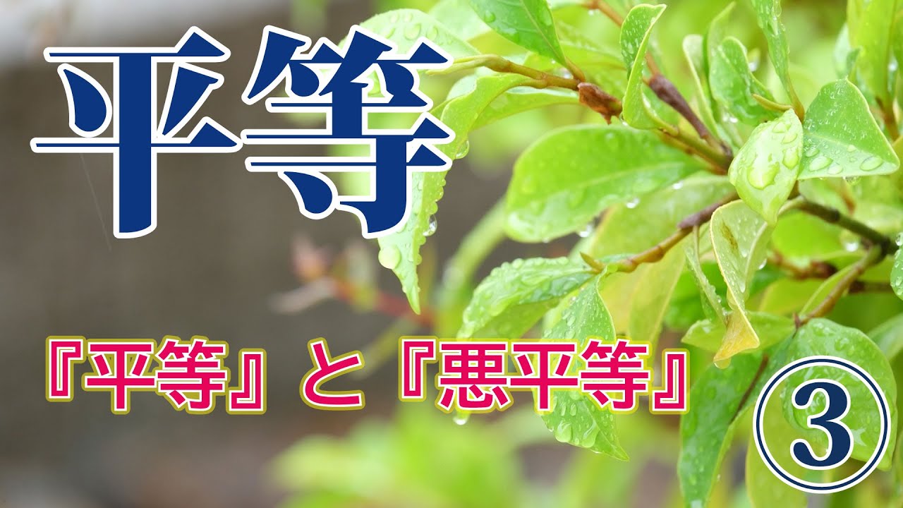 すべての人は皆平等なのです《平等》③とは【なごやか仏教425】