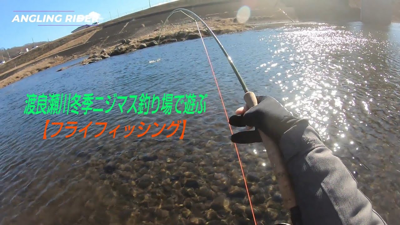 渡良瀬川冬季で遊ぶ【フライフィッシング】