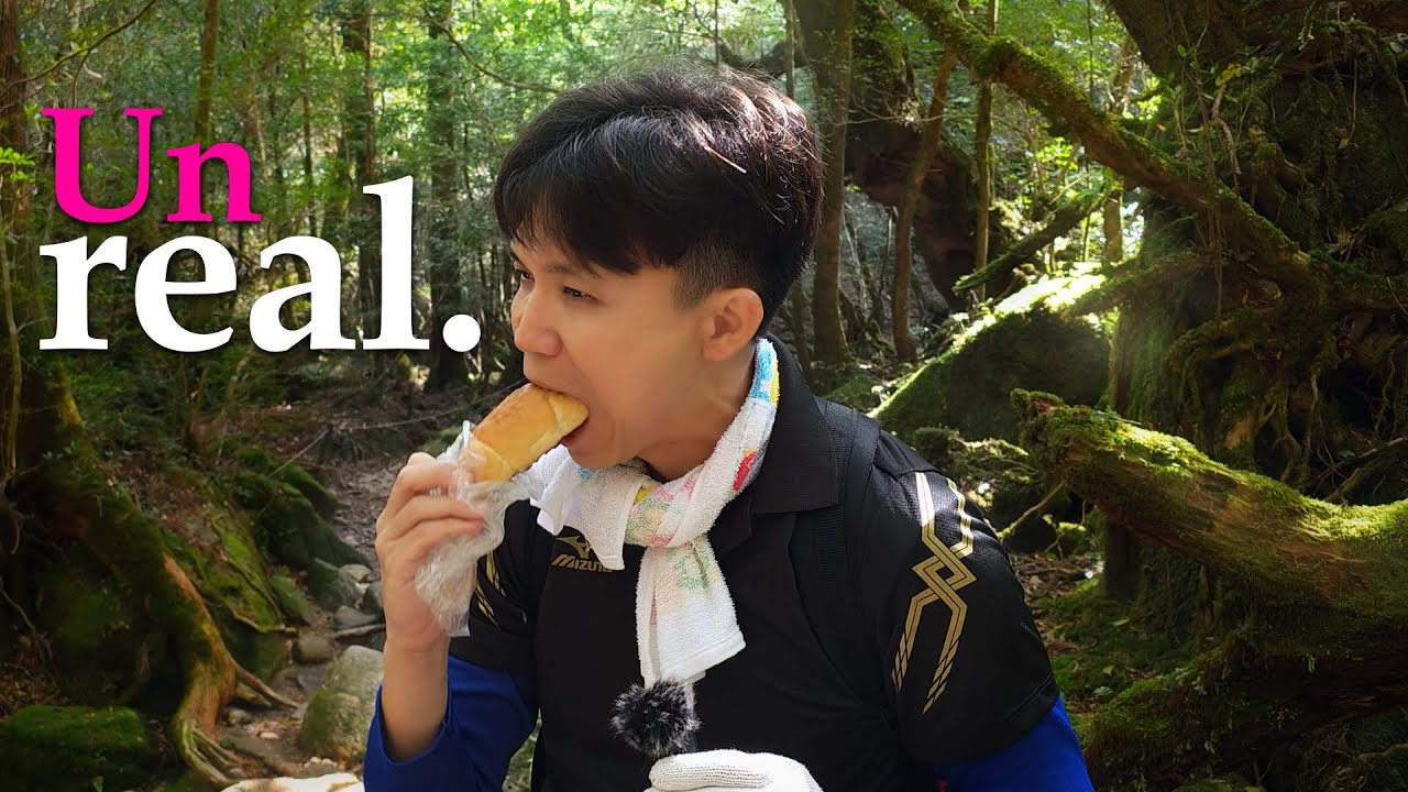 I Hiked 1000m In Japan To Picnic And See Peak Princess Mononoke, Worth It?