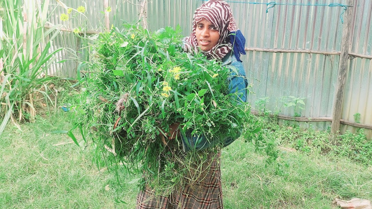 #የሀዩቲ ድንቅ ስራወች#የአርብ ሀገር ክፉ ትዝታዋ👆😭😭