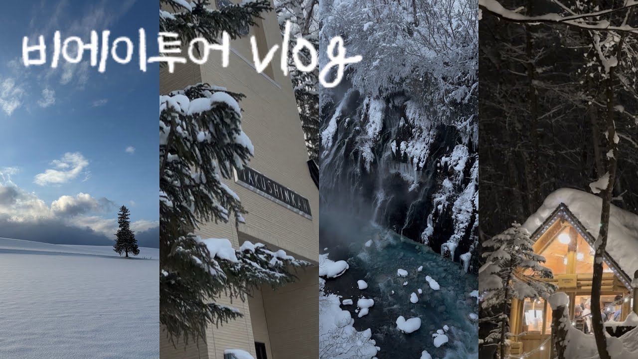 vlog 5박6일 홋카이도 여행 🇯🇵 ep.3 버스로 비에이투어 🚌 *⑅୨୧* 준페이 에비카레🌲나홀로나무 • 탁신관 • 흰수염폭포 • 닝구르테라스