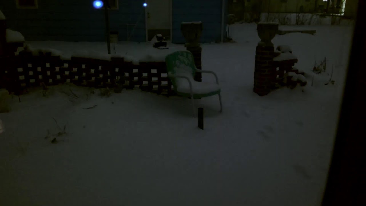 Backyard Snowing Livestream